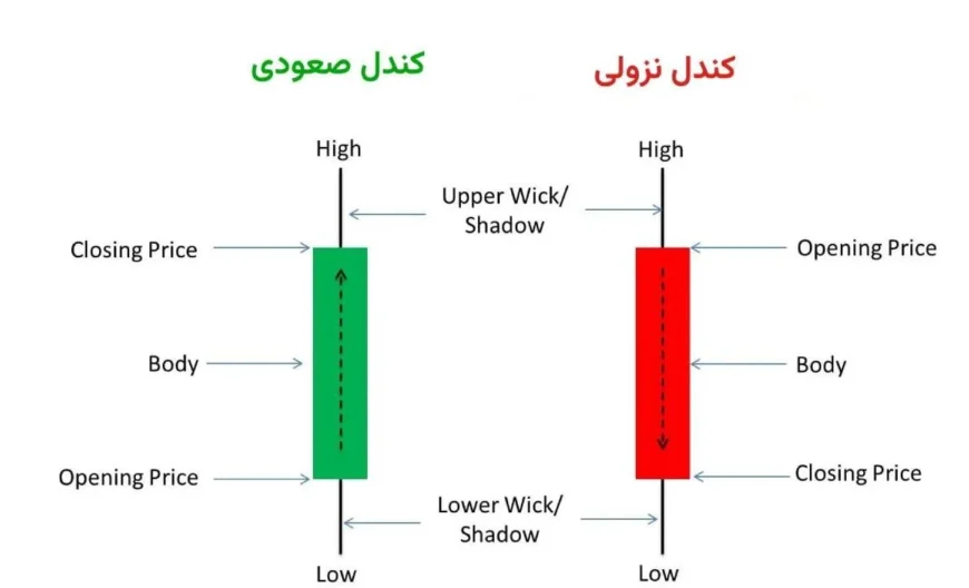 اینفوگرافیک ساختار و اجزای یک نمودار قیمت