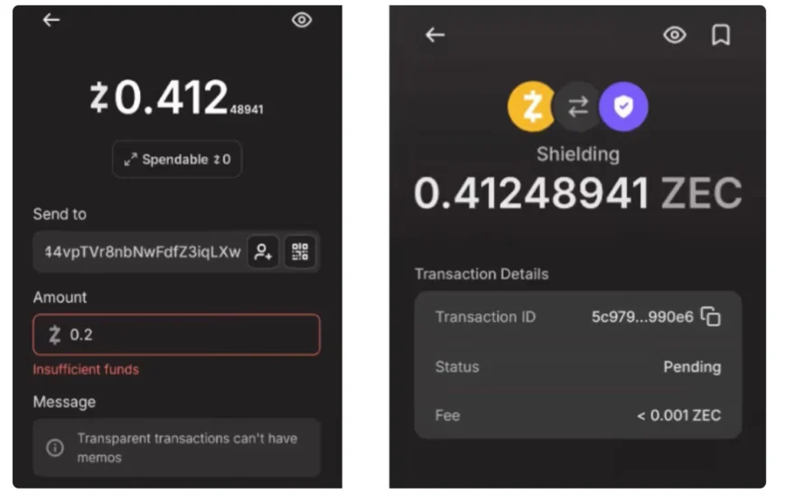 تصویر محیط کاربری کیف پول زاشی در حال تبدیل موجودی شفاف به محافظتشده.