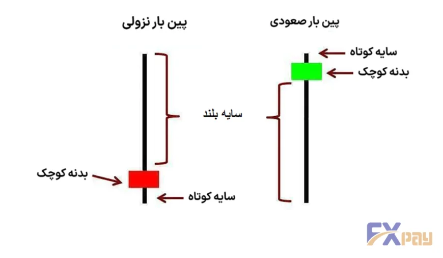 ساختار کندل پینبار صعودی و نزولی؛ نمایش سایه بلند و بدنه کوچک برای تشخیص رد شدن قیمت در تمرین پرایس اکشن.