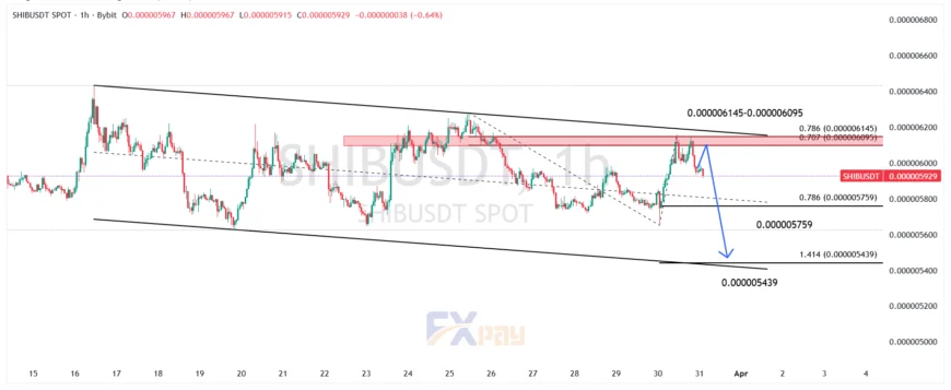 نمودار SHIBUSDT در تایم فریم ۱ ساعته 
