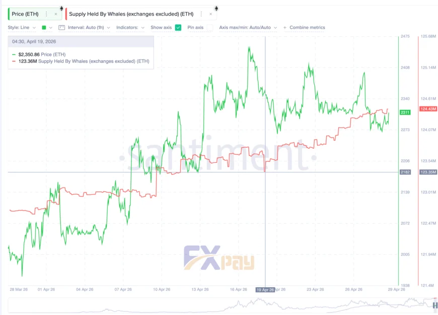 نمودار رشد عرضه اتریوم در دست نهنگها طبق دادههای Santiment که انباشت ۱.۰۸ میلیون ETH را در بازه ۱۰ روزه نشان میدهد